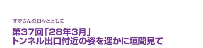 片渕須直監督コラム「すずさんの日々とともに」