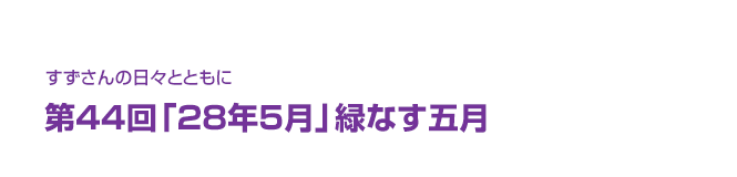 片渕須直監督コラム「すずさんの日々とともに」